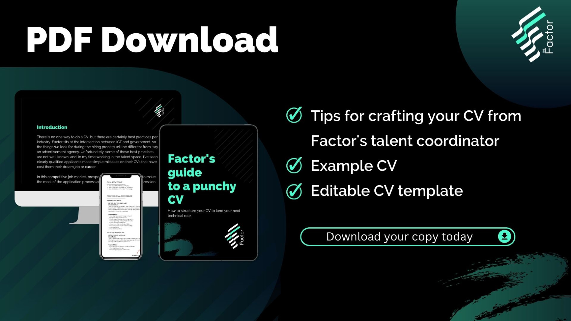 Download Factor's "Guide to a punchy CV" 