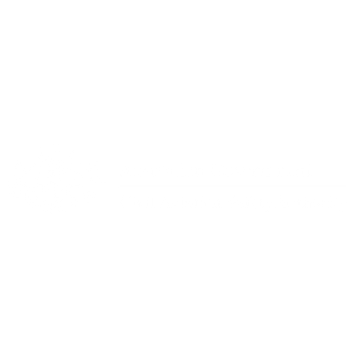 Aus aviation logo