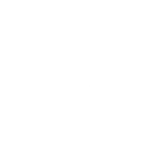 Aus social services logo