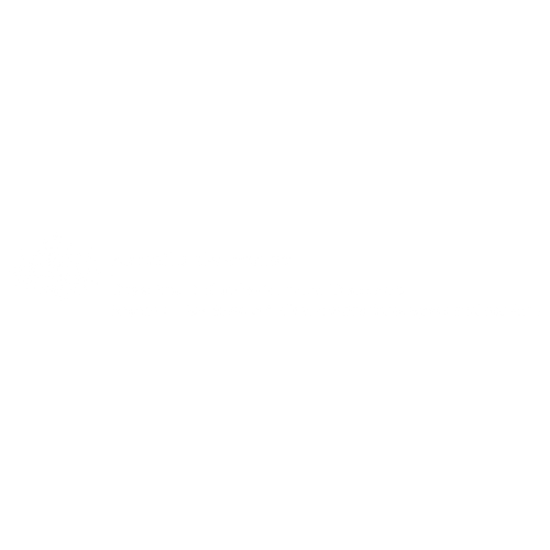 Aus transportation logo